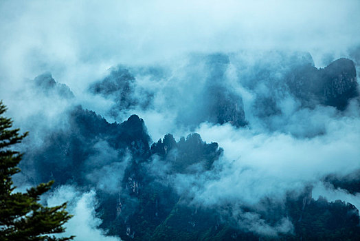 神农架,神农顶,风景,景点,旅游,高山,瀑布,河流,神秘,树木,植被,石头,鄂西,云海,峡谷,壮观