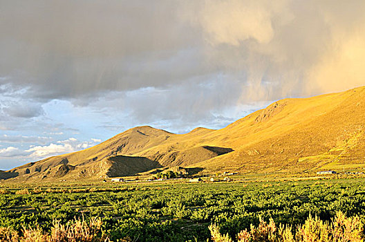风景,天气,亮光,气氛,雨,玻利维亚,高原,高地,南美