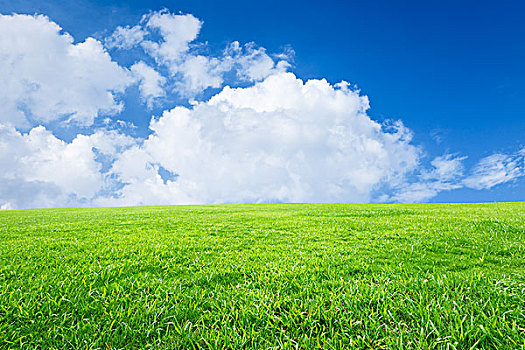 绿色,草坪,蓝天,夏季,自然,背景