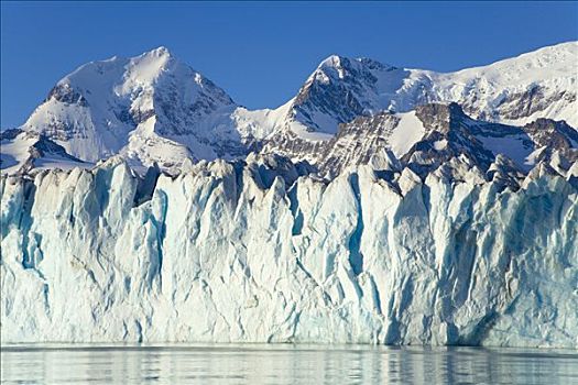 冰河,东方,湾,南乔治亚,南大洋,南极辐合带