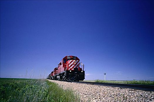 列车,草原,加拿大