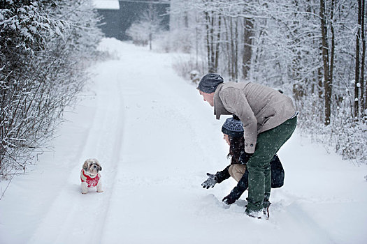 年轻,情侣,玩,狗,雪中,遮盖,树林,安大略省,加拿大