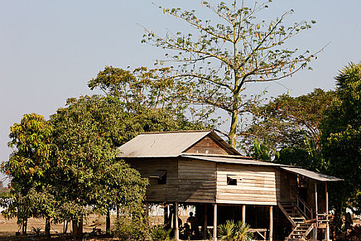 柬埔寨,收获,传统,房子