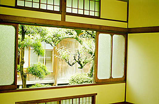 传统,日本,房间,窗户,展示,风格,树,九州,2007年