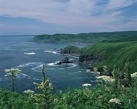 海岸