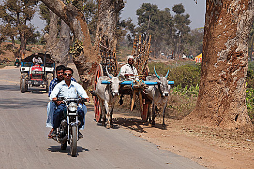 交通,摩托车,牛,手推车,拖拉机,道路,印度南部,印度,南亚,亚洲