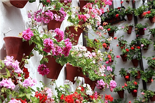 墙壁,装饰,花盆,科多巴,安达卢西亚,西班牙