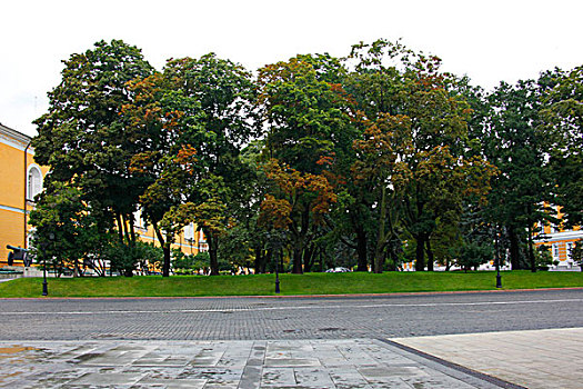 俄罗斯克里姆林宫,政府办公区,绿地