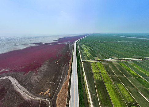 红海滩