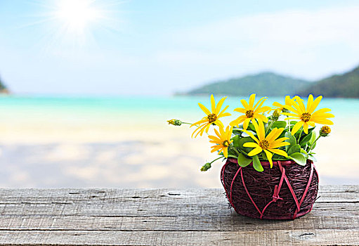 花瓶,木桌,海滩,背景