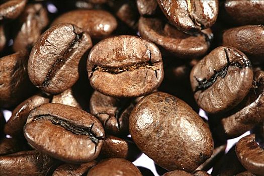 浓咖啡,咖啡豆,阿拉伯咖啡,味道