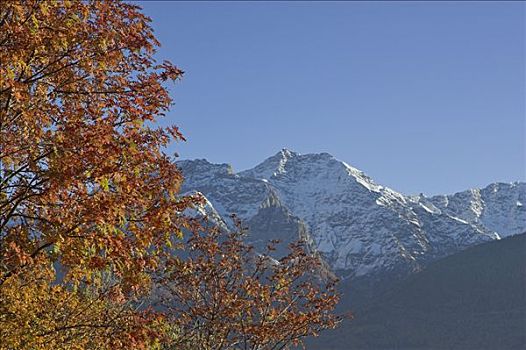 山峦,山脉,维诺斯塔,南蒂罗尔,意大利