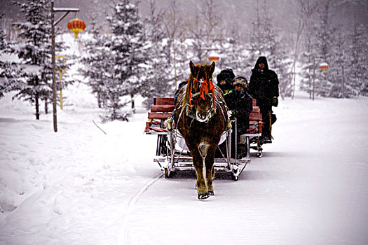 雪中前行