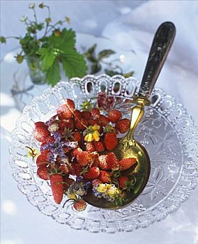 高山草莓,糖渍,花