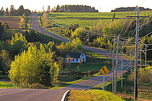 公路,爱德华王子岛,加拿大