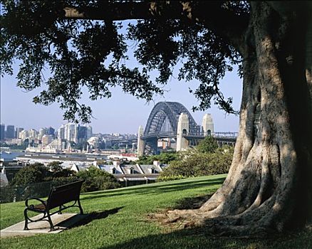 澳大利亚,悉尼,桥,公园