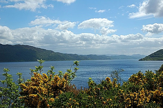 湖,尼斯湖,苏格兰