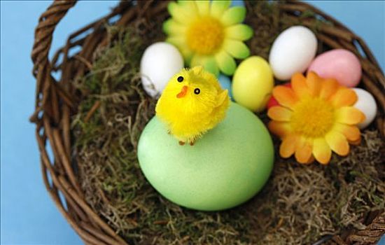 幼禽,涂绘,复活节彩蛋,篮子,装饰,花,糖果,蛋