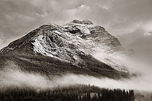 雪山,雾,日落,幽鹤国家公园,加拿大