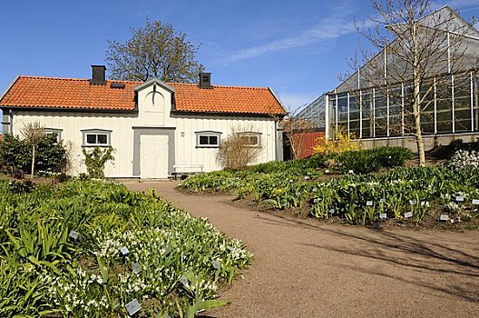 斯堪的纳维亚,瑞典,哥德堡,房子,花园,温室