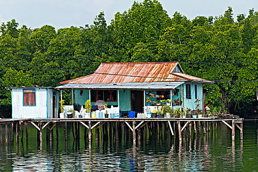 房子,乡村,湾,巴布亚岛,印度尼西亚,大幅,尺寸