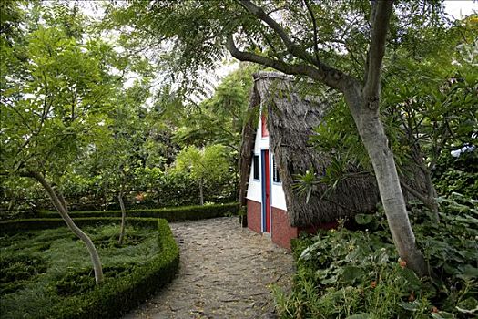传统,房子,植物园,丰沙尔,马德拉岛,葡萄牙