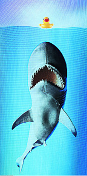 鲨鱼,攻击,橡胶