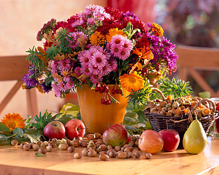 紫苑属,秋天,地榆属植物,金盏花,万寿菊,百日草,菊花,大戟