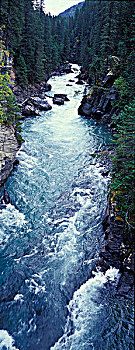 弗雷泽河,峡谷,罗布森山省立公园,落基山脉,不列颠哥伦比亚省,加拿大