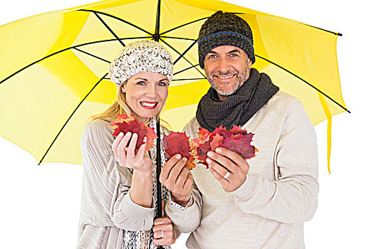 情侣,冬天,时尚,展示,秋叶,伞