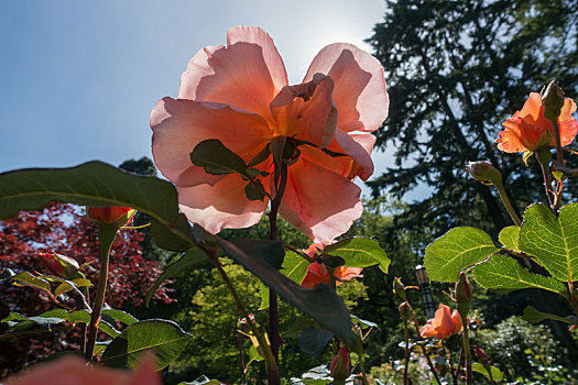 http://www.qunran.cn/html/71c4199887.html