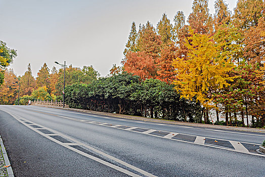 杭州杨公堤秋景