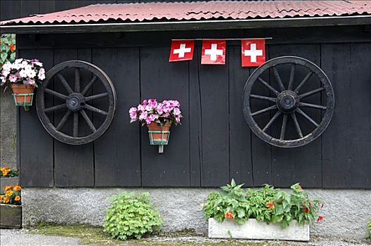 瑞士,爱国,花,手推车,轮子,旗帜
