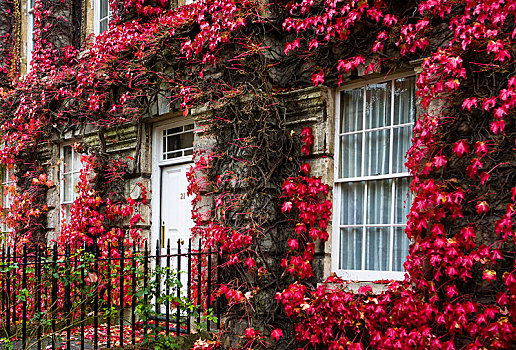 房子,繁茂,红色树叶,浴室,萨默塞特,英格兰,英国,欧洲