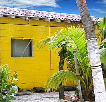 加勒比,热带,黄色,海滩,木屋