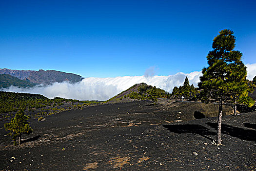 云,填充,山谷,火山,帕尔玛,圣克鲁斯-德特内里费,加纳利群岛