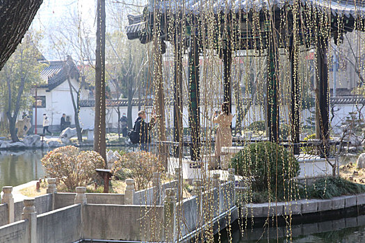 2月27日,在山东省临沂市兰山区王羲之故居洗砚池中的凉亭,游客在拍照