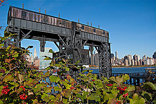 桥,曼哈顿,天际线,背景,纽约,美国