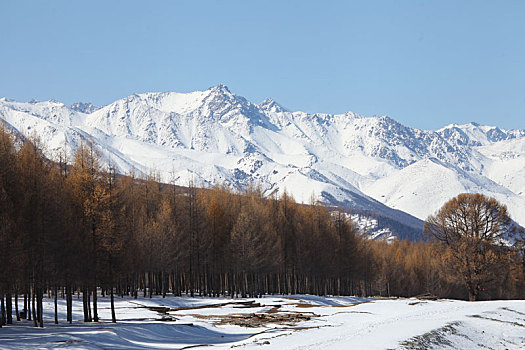 雪后天山美景