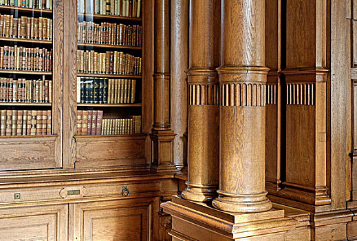 图书馆,木头,19世纪,别墅,宅邸,住宅,地区,北莱茵威斯特伐利亚,德国,欧洲