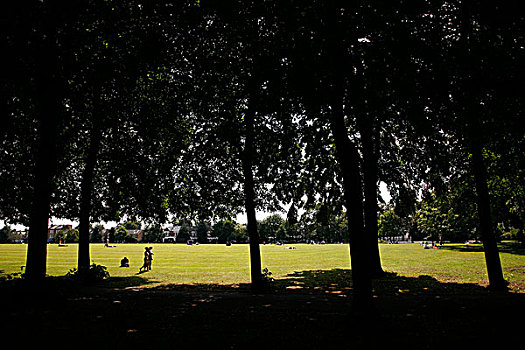 仲夏,公园,伦敦,英国