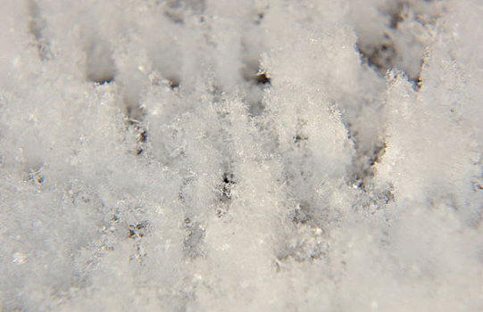 雪地,积雪消融