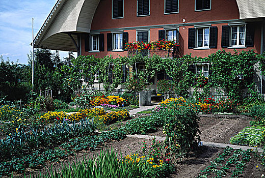 瑞士,农舍,别墅花园,蔬菜,床,花坛