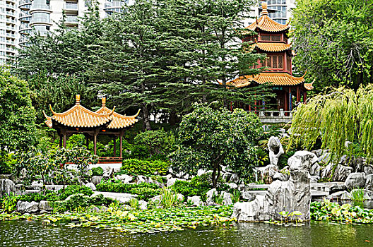 中式花园,悉尼,澳大利亚