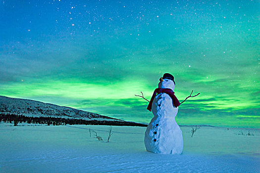 数码,雪人,看,北极光,冬天,顶峰,阿拉斯加