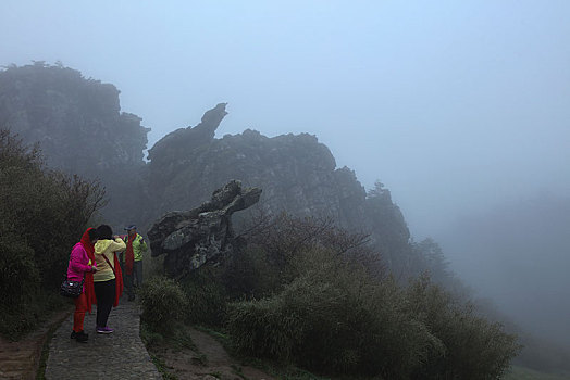 神农架,板壁岩,风景,景点,旅游,高山,神秘,树木,植被,石头,鄂西,奇石,壮观