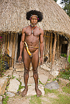 男人,部落,戴着,山谷,西巴布亚,西部,新几内亚,印度尼西亚,亚洲