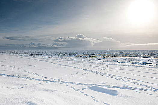 冰,浮冰,北方,海洋,南方,海滩,遮盖,雪,地平线,岛屿,国家公园,石荷州,国家,公园