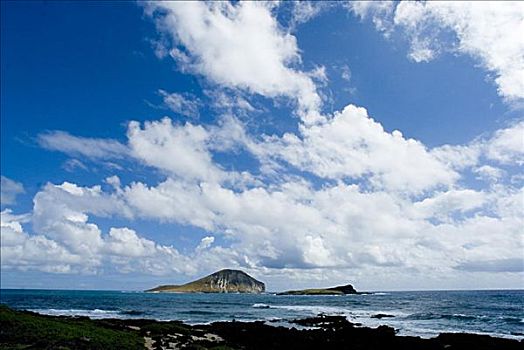 夏威夷,瓦胡岛,向风,兔子,岛屿,平静,蓝色,海洋,多云,蓝天