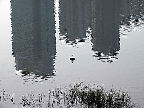 洛河湿地